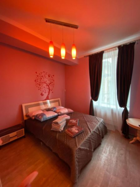 Гостиница Apartament on Krakivska 34/10  Львов